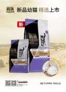爵加新品幼貓精選上市！