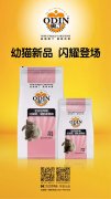 奧丁精品幼貓糧閃耀登場(chǎng)?。?！
