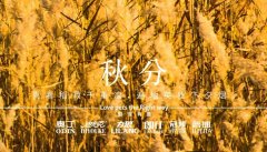 秋分丨晝夜分畫，漸入秋華