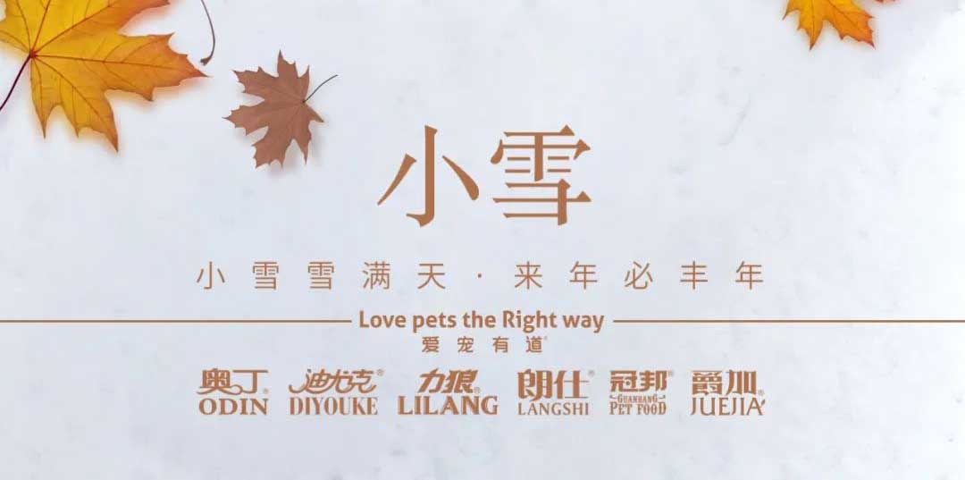 小雪丨天地初寒，歲月安暖